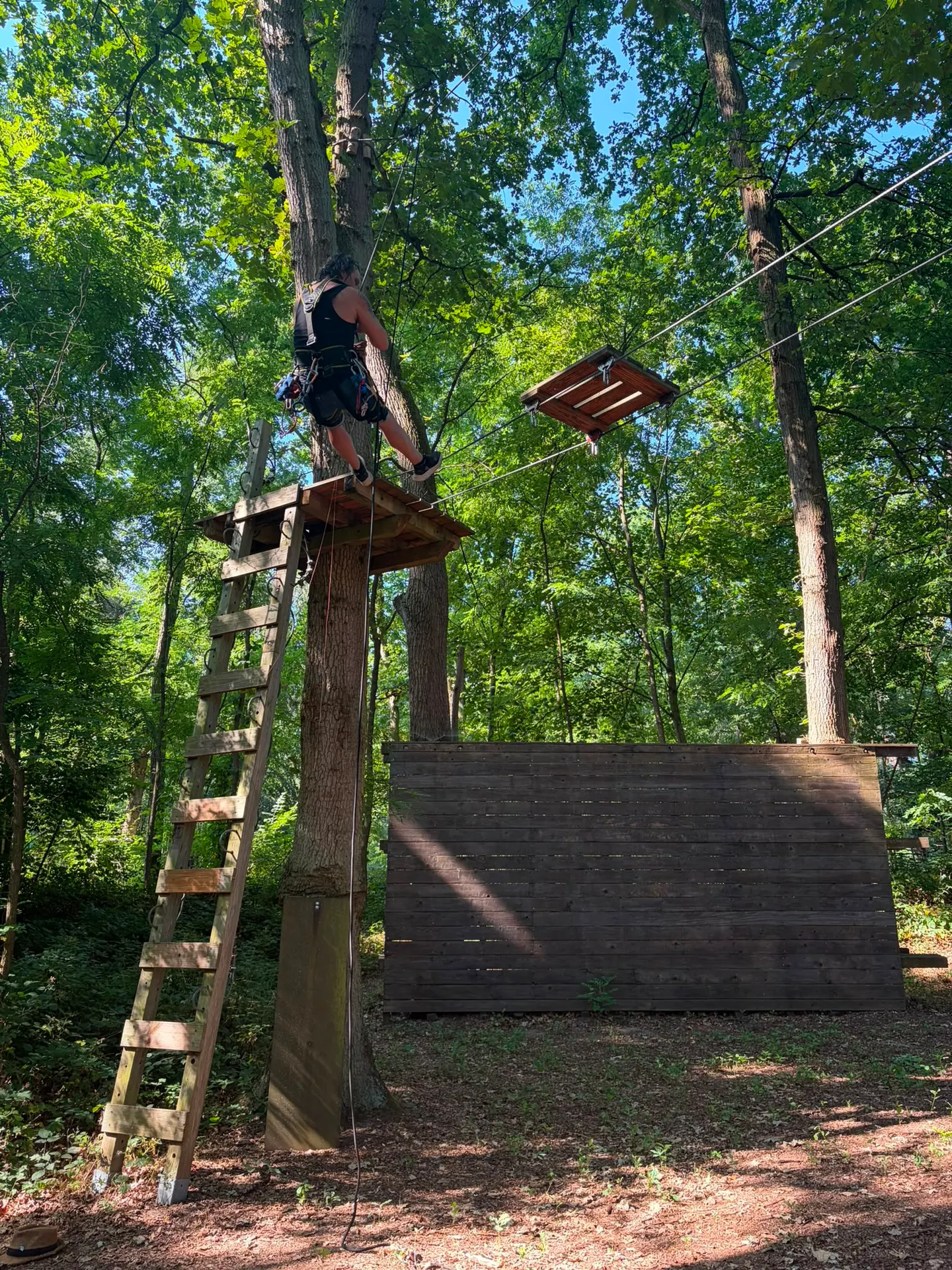 Sven Schwind steht gesichert auf einer Holzplattform hoch oben im Kletterwald Speyer