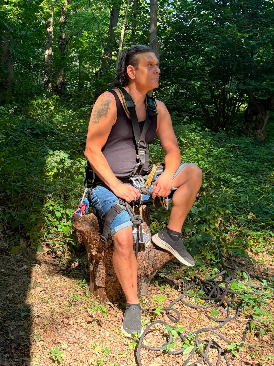 Sven Schwind sitzt auf einem Baumstumpf im Wald und blickt konzentriert nach oben